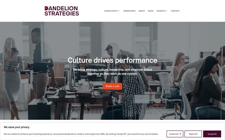 Screenshot of dandelionstrategies.com