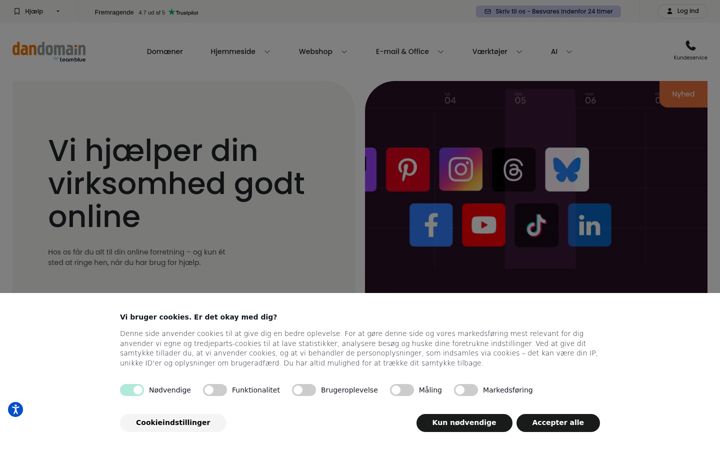 Ekrānuzņēmums no dandomain.dk