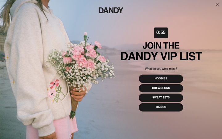 Screenshot του dandyworldwide.com