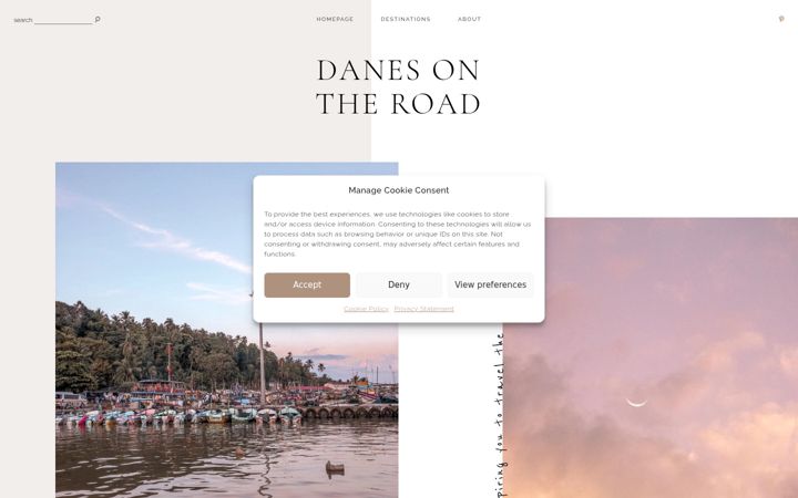 Screenshot of danesontheroad.com