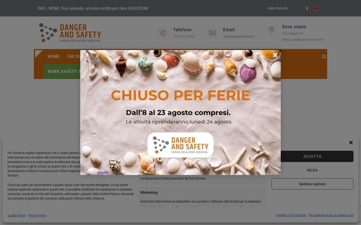 Screenshot of dangerandsafety.it