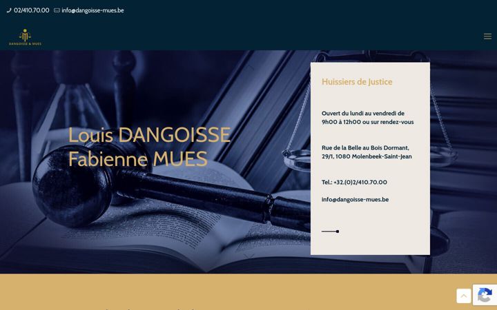 Screenshot of dangoisse-mues.be