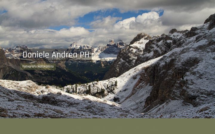 Screenshot of danieleandrea.com