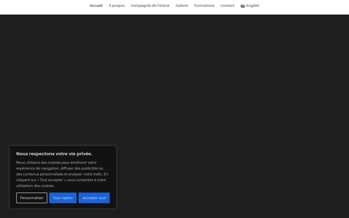 Screenshot of danielesteve-arene.com