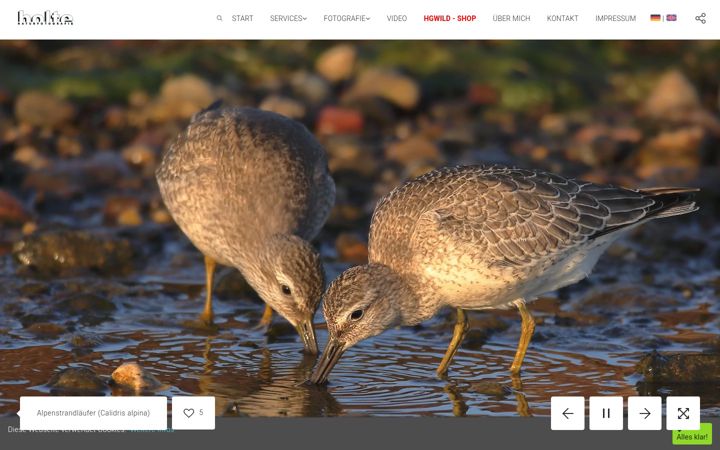 Screenshot of danielholte.de