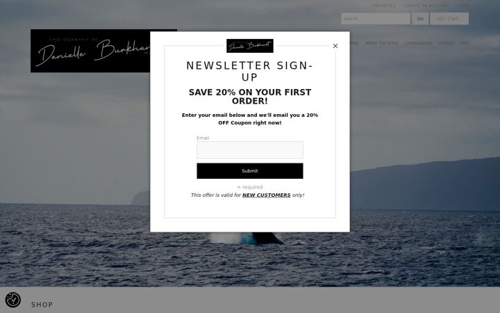 Screenshot of danielleburkhardt.com