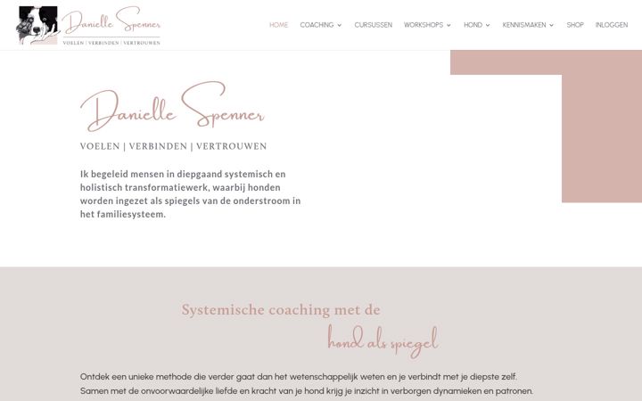 Captura de ecrã de daniellespenner.nl