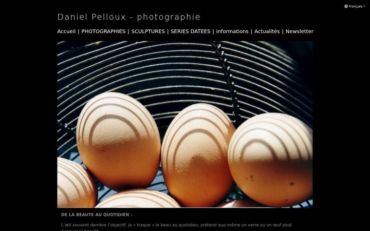 Screenshot of danielpelloux.com
