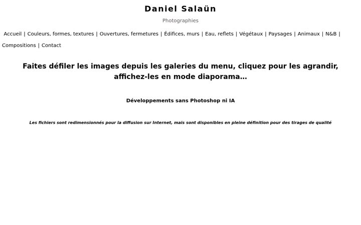 Screenshot of danielsalaun.com