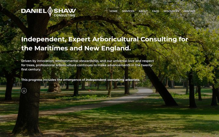 Screenshot of danielshawconsulting.com