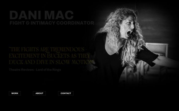 Screenshot of danimaccombat.com