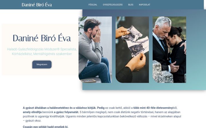 Zrzut ekranu daninebiroeva.hu