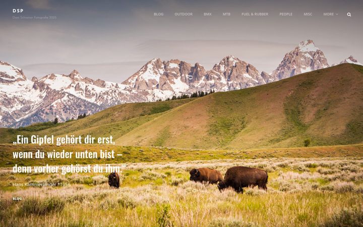 Screenshot of danischreiner.de