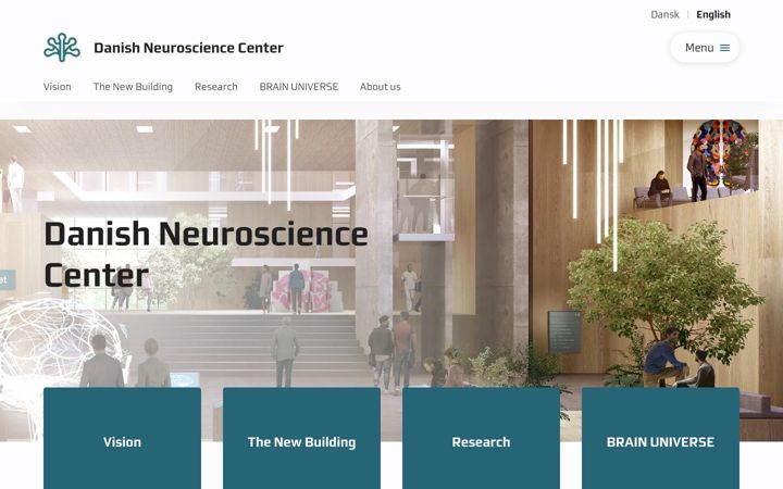 Screenshot of danishneurosciencecenter.dk