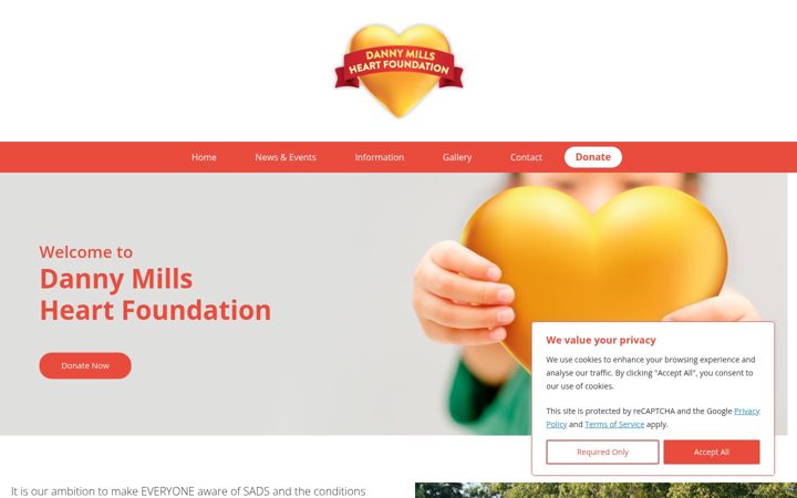Screenshot of dannymillsfoundation.com