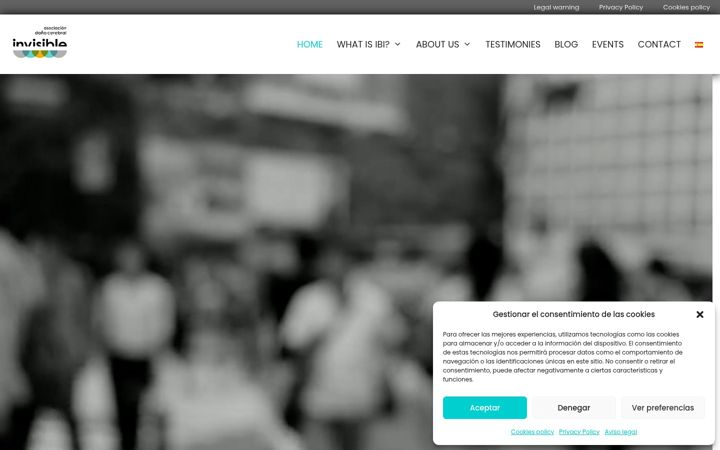 Screenshot of danocerebralinvisible.com