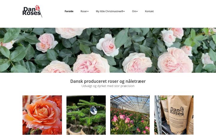 Screenshot of danroses.dk