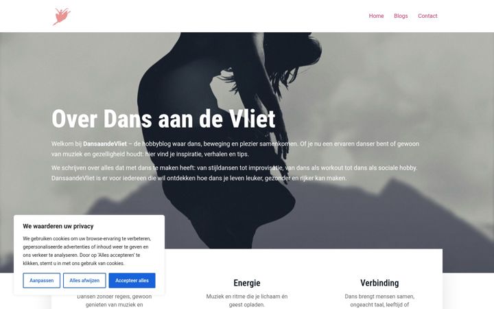 Skjámynd af dansaandevliet.nl