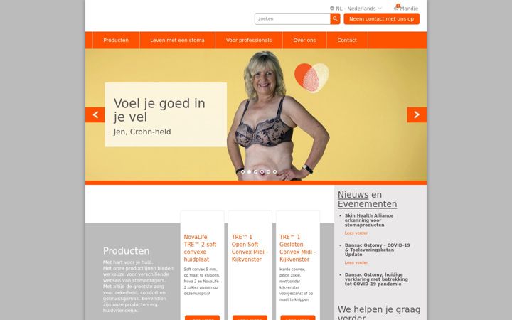 Skjámynd af dansac.nl