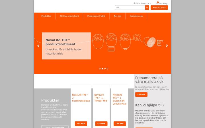 Screenshot of dansac.se