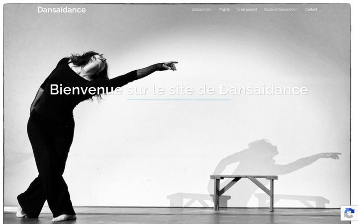 Screenshot of dansaidance.org