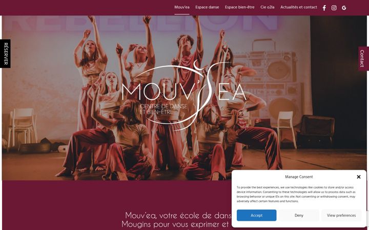 Zrzut ekranu danse-cannes.fr