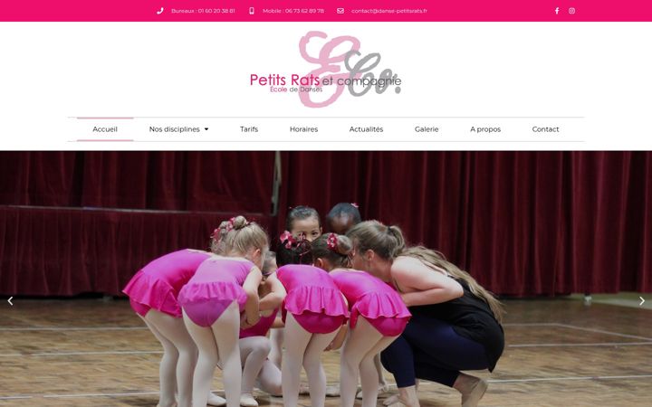 Zrzut ekranu danse-petitsrats.fr