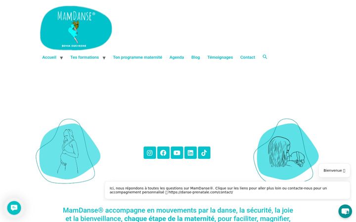 Screenshot of danse-prenatale.com