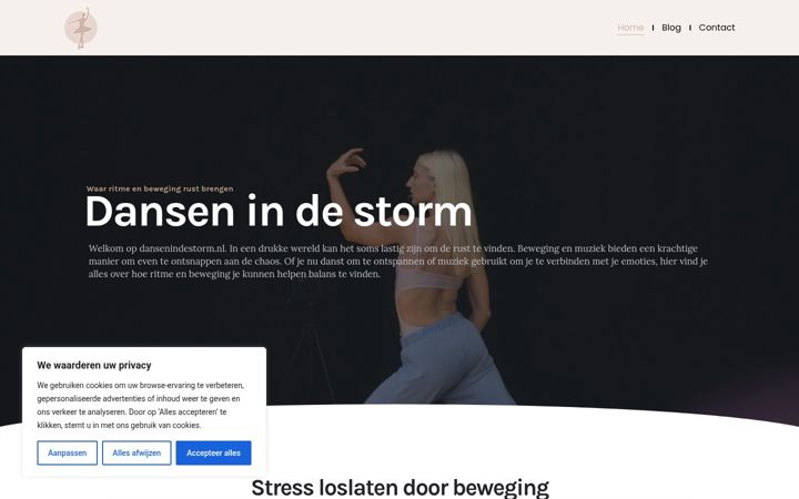 Ekrano kopija dansenindestorm.nl