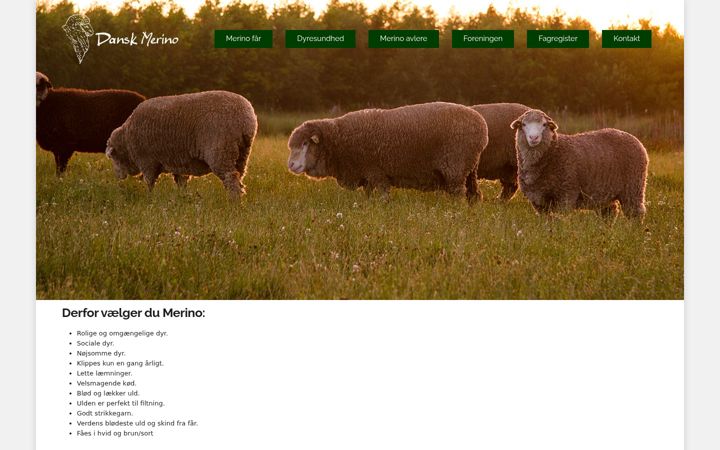 Skærmbillede af dansk-merino.dk