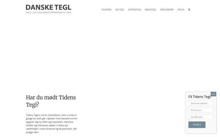 Screenshot of dansketegl.dk