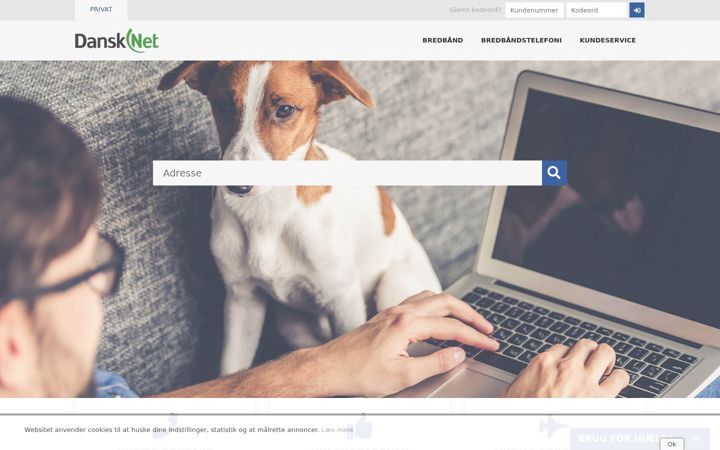 Screenshot of dansknet.dk