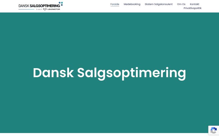 Screenshot di dansksalgsoptimering.dk