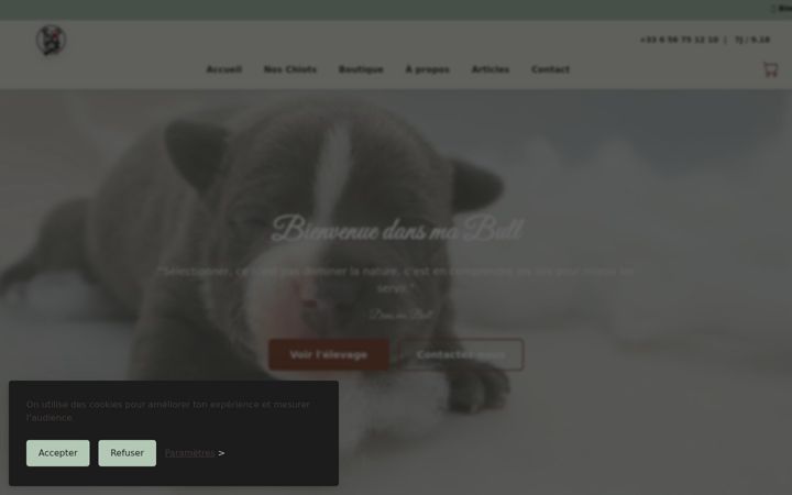 Screenshot of dansmabull.com