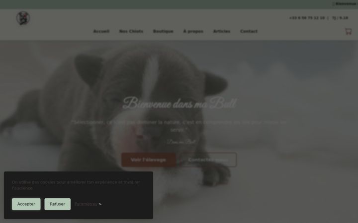 Zrzut ekranu dansmabull.fr