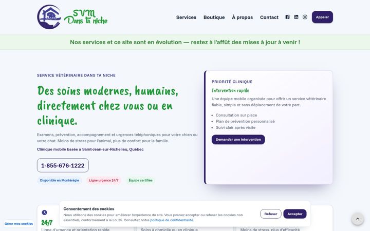 Screenshot of danstaniche.com