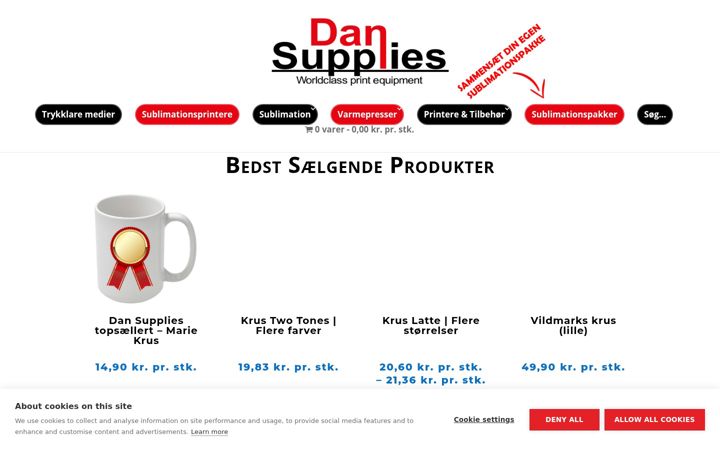 Snímek obrazovky dansupplies.dk