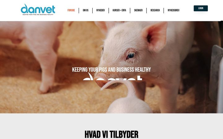 Screenshot stránky danvet.com