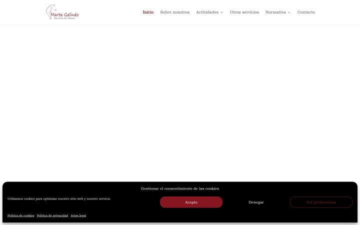 Screenshot of danzamartagalindo.com