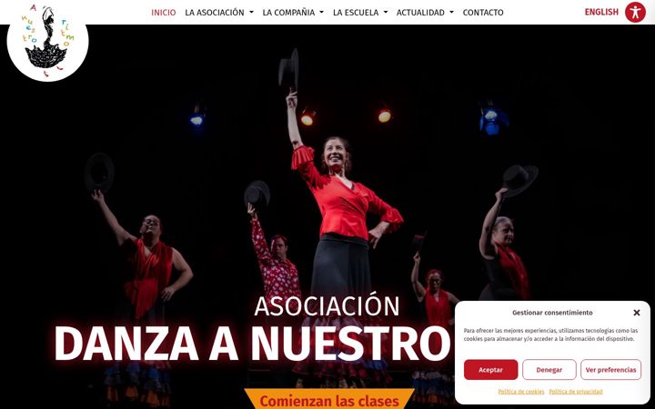 Screenshot of danzanuestroritmo.com