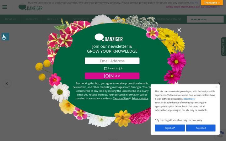 Screenshot of danzigeronline.com