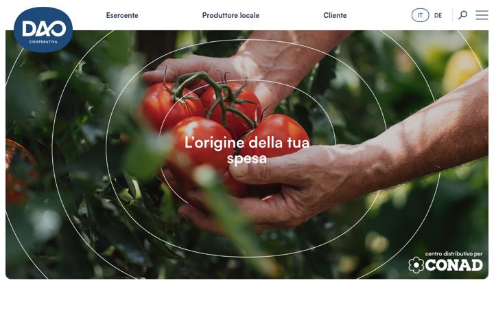 Screenshot of dao.it