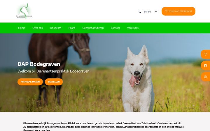 Ekrano kopija dapbodegraven.nl