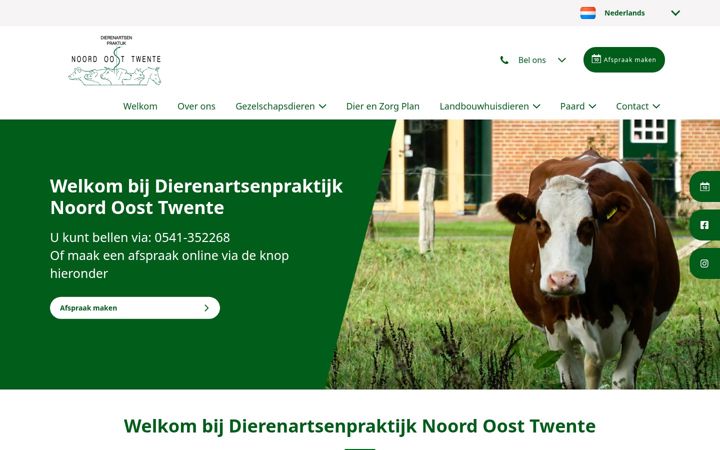 Ekrano kopija dapnoordoosttwente.nl