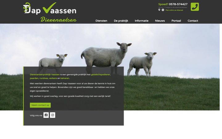 Screenshot von dapvaassen.nl