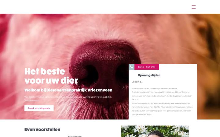 Screenshot von dapvriezenveen.nl