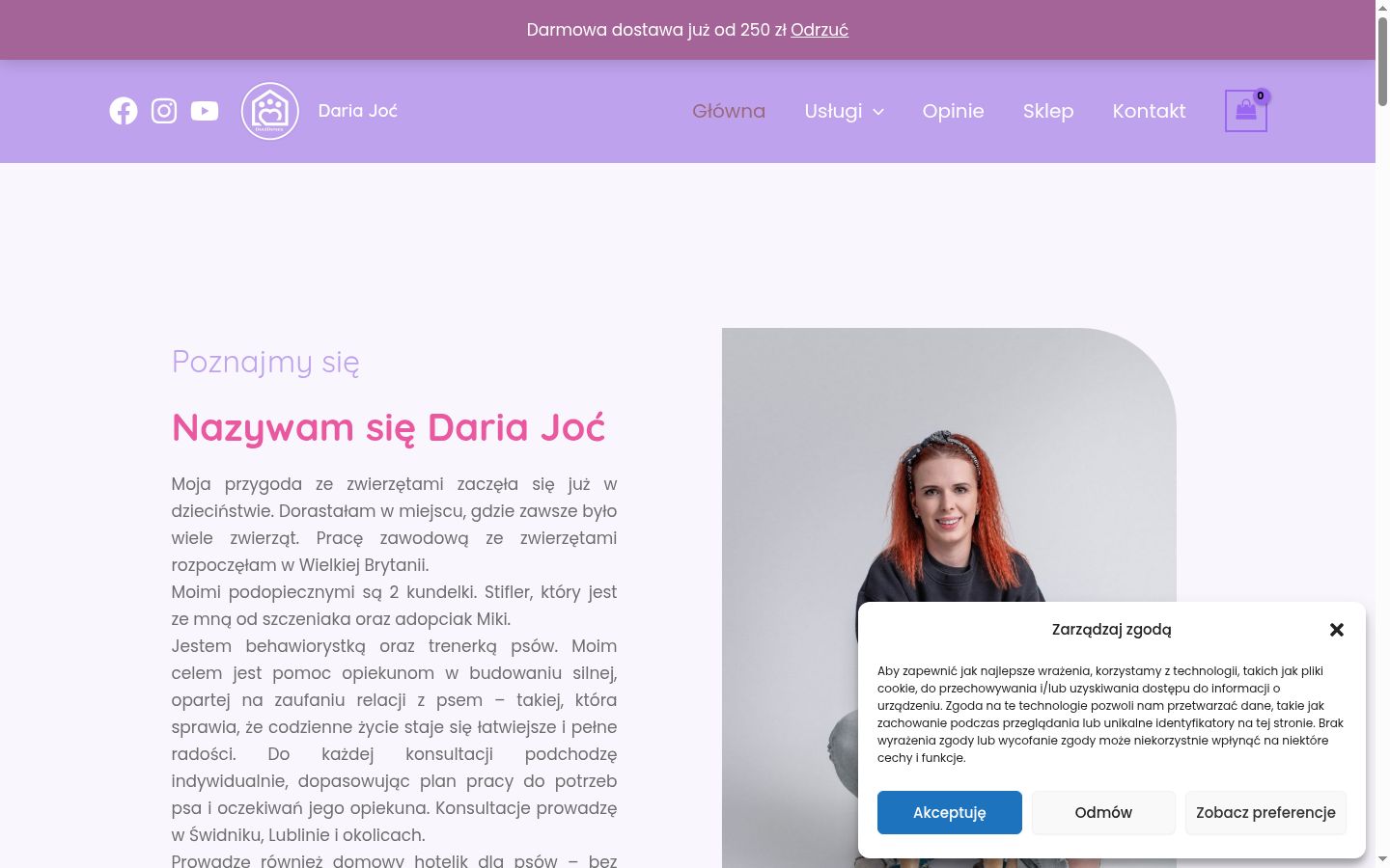 Screenshot του banner συγκατάθεσης που εμφανίστηκε πριν από οποιαδήποτε αλληλεπίδραση