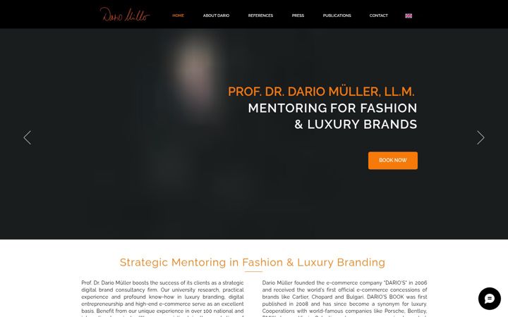 Screenshot of dariomueller.com