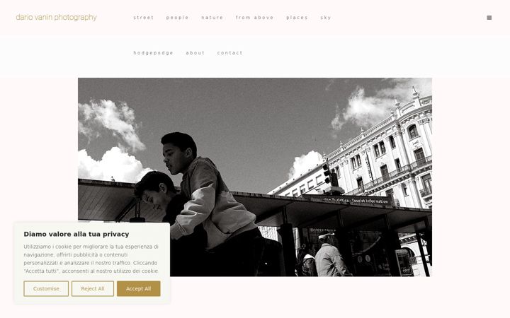 Screenshot of dariovanin.it