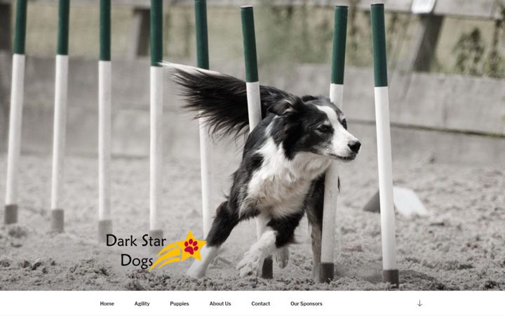 Screenshot of darkstaragility.co.uk